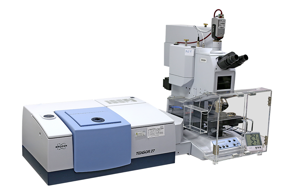 FTIR