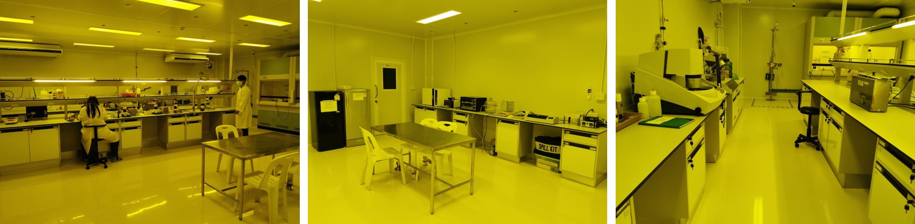 Picture6