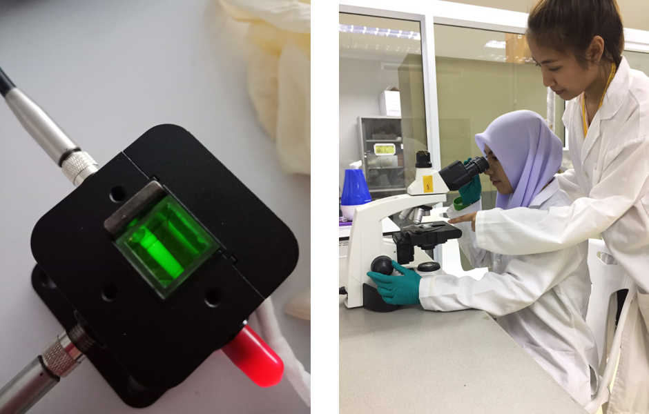 lab on a chip 03