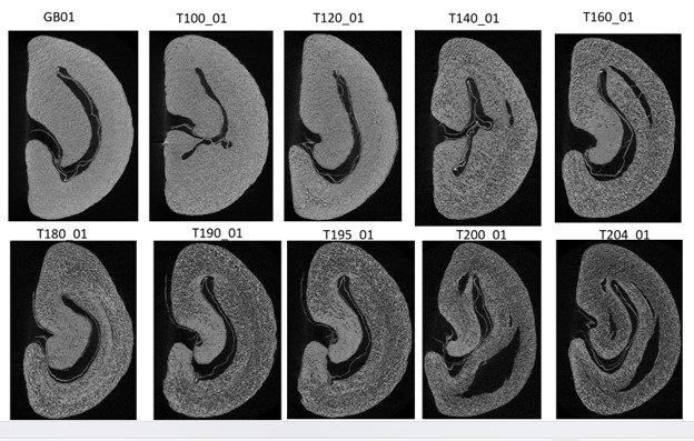 Figure3