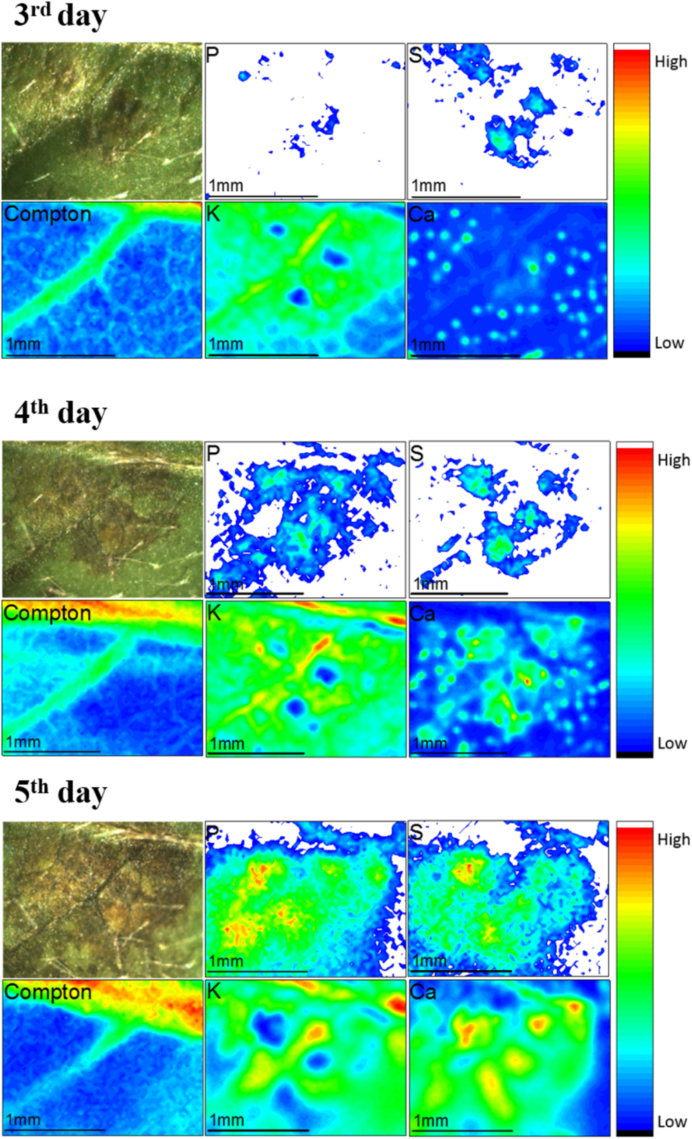 Picture1 Plant Science