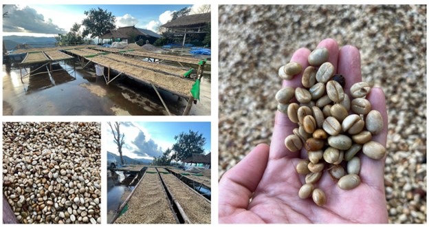 coffee beans