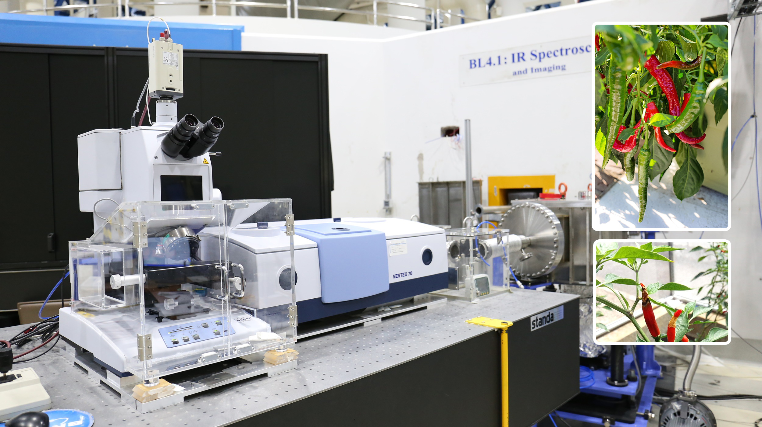 infared spectroscopy2