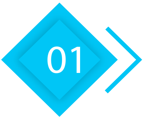 p1