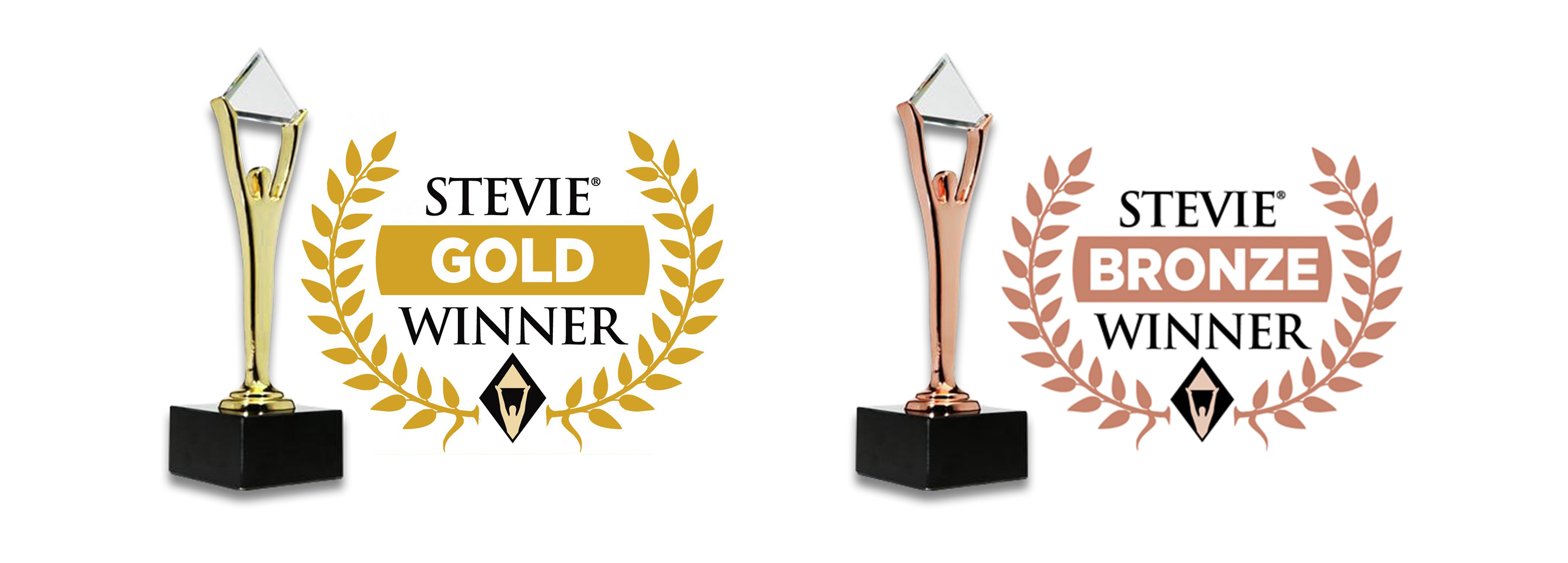 stevie bronze