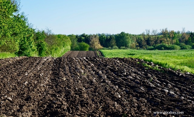 arable 3442666 640