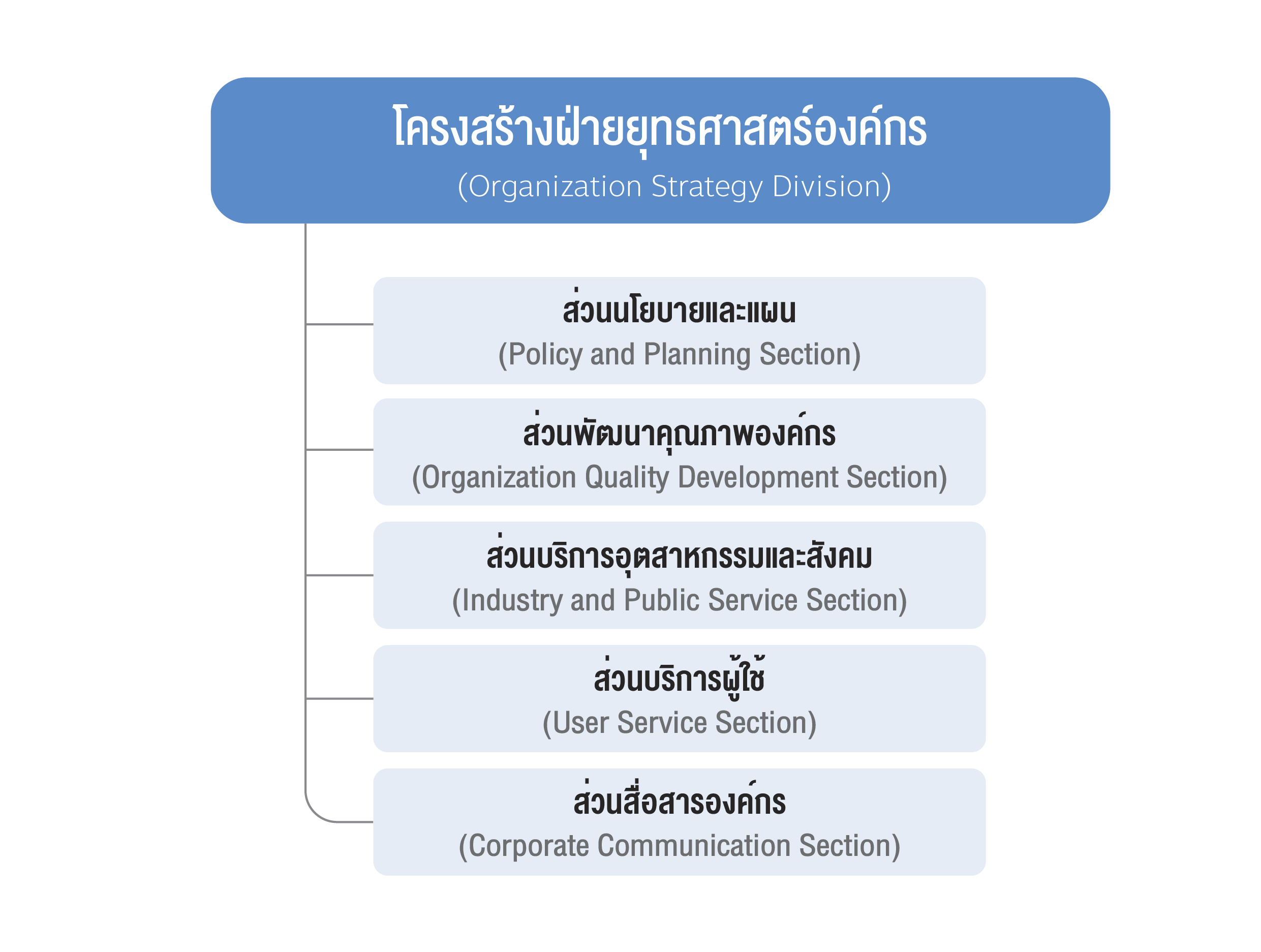 โครงสรางองคกร OD 03