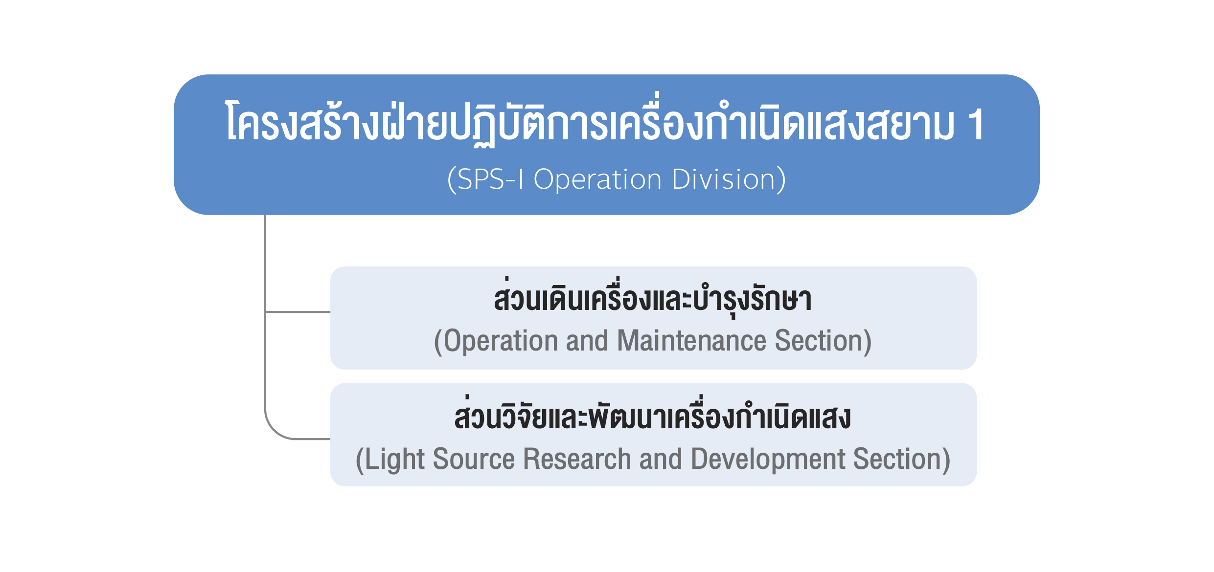 โครงสรางองคกร OD 04