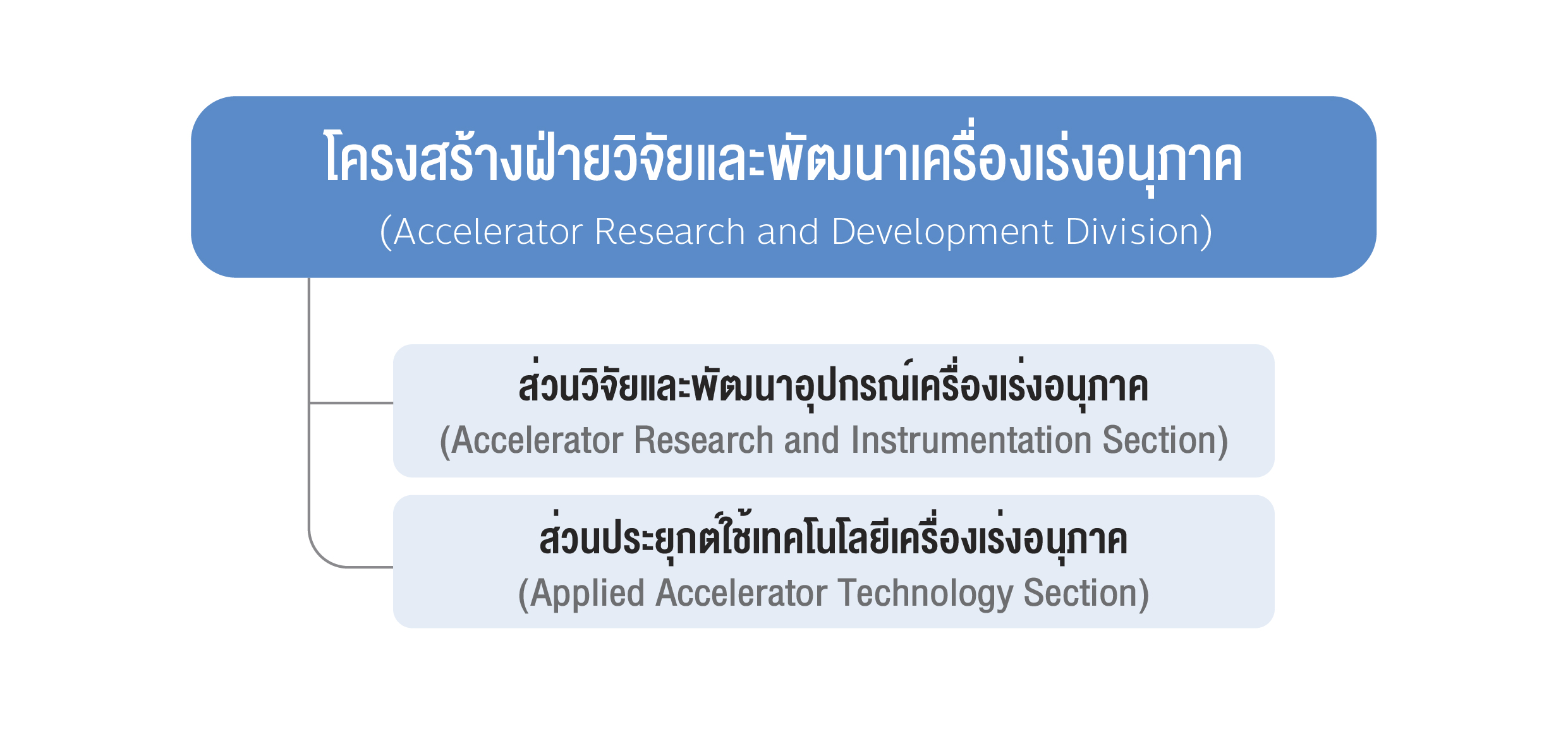 โครงสรางองคกร OD 05