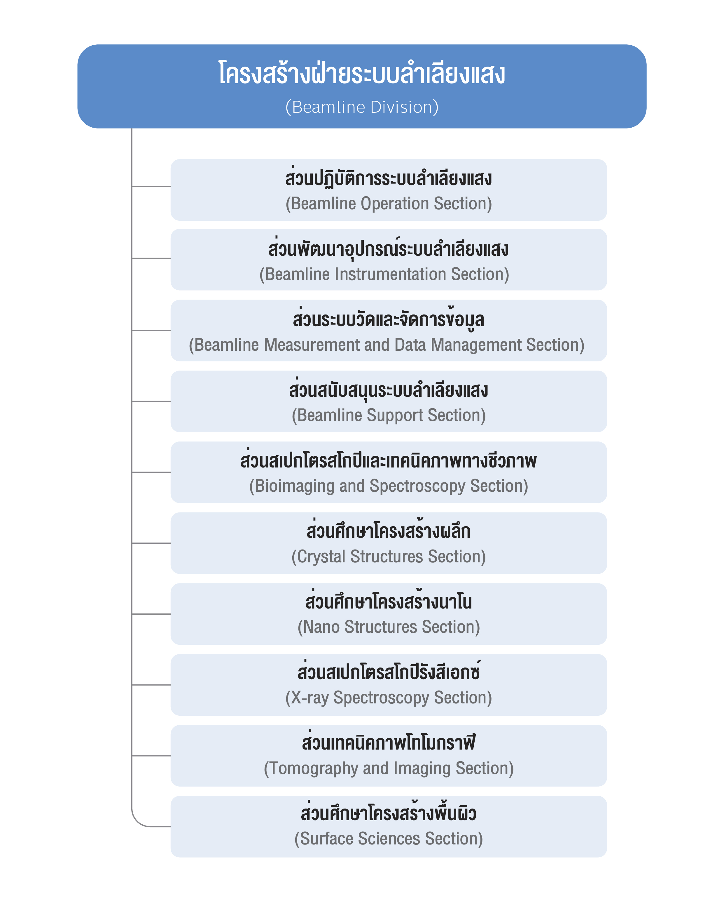 โครงสรางองคกร OD 06