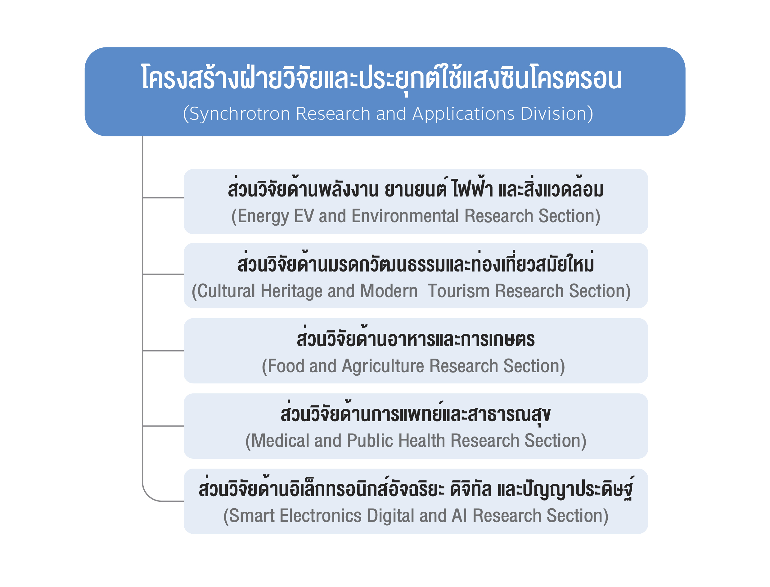 โครงสรางองคกร OD 07