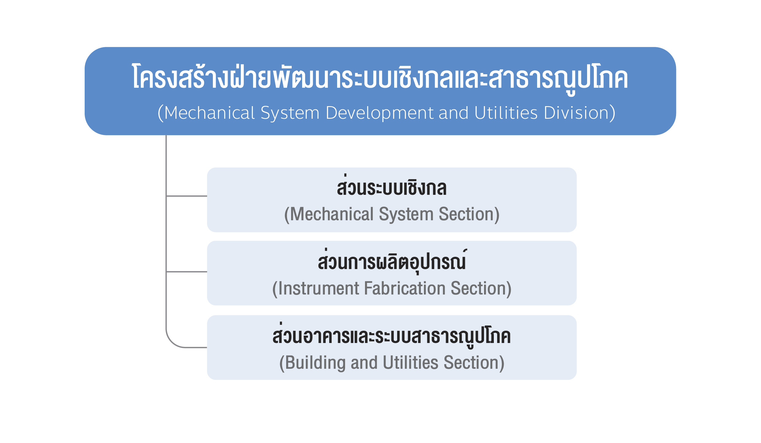 โครงสรางองคกร OD 08