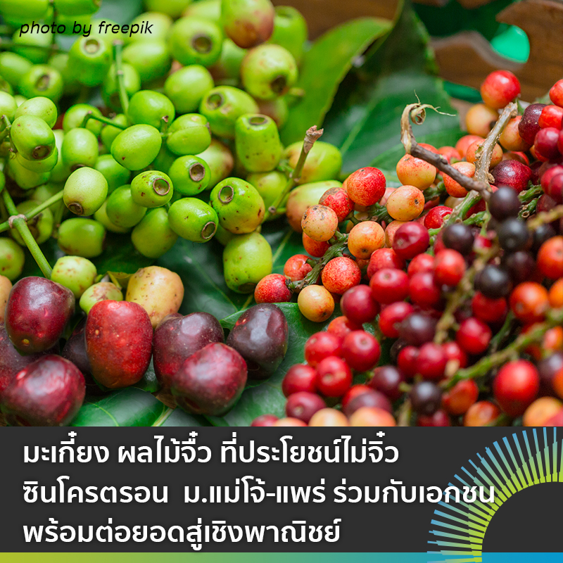 มะเกยง