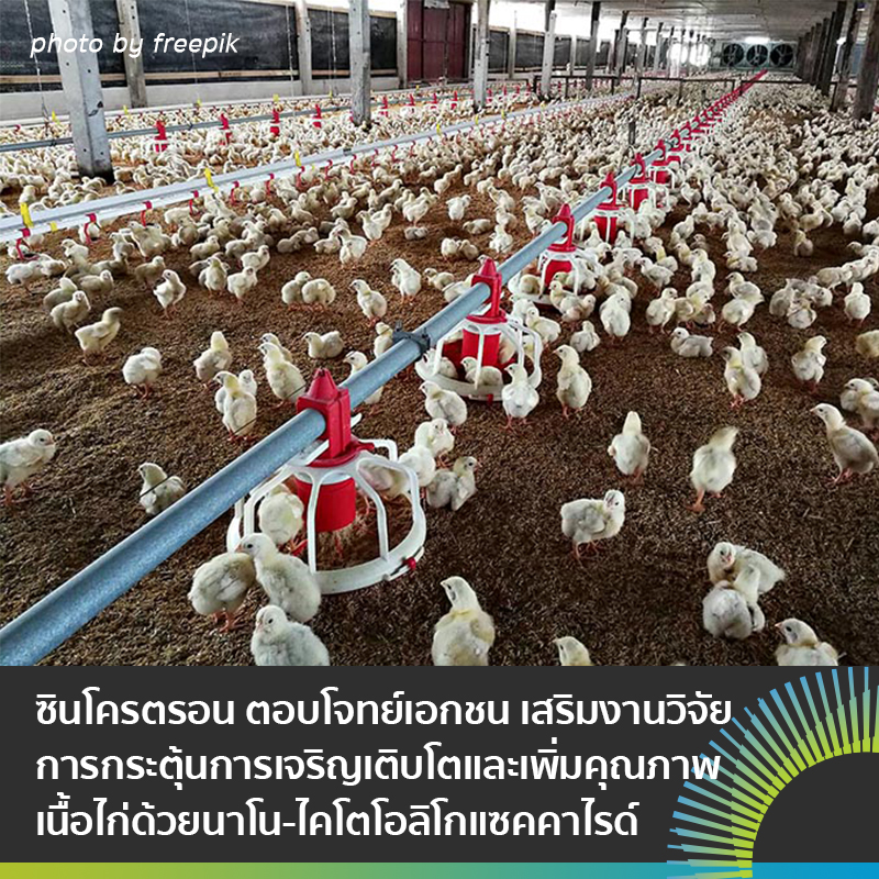 ไก01 เลอก