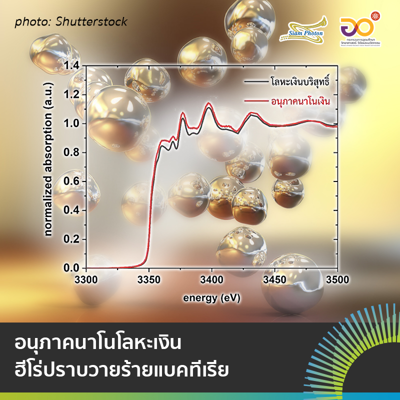 อนภาคนาโนโลหะเงน ฮโรปราบวายรายแบคท