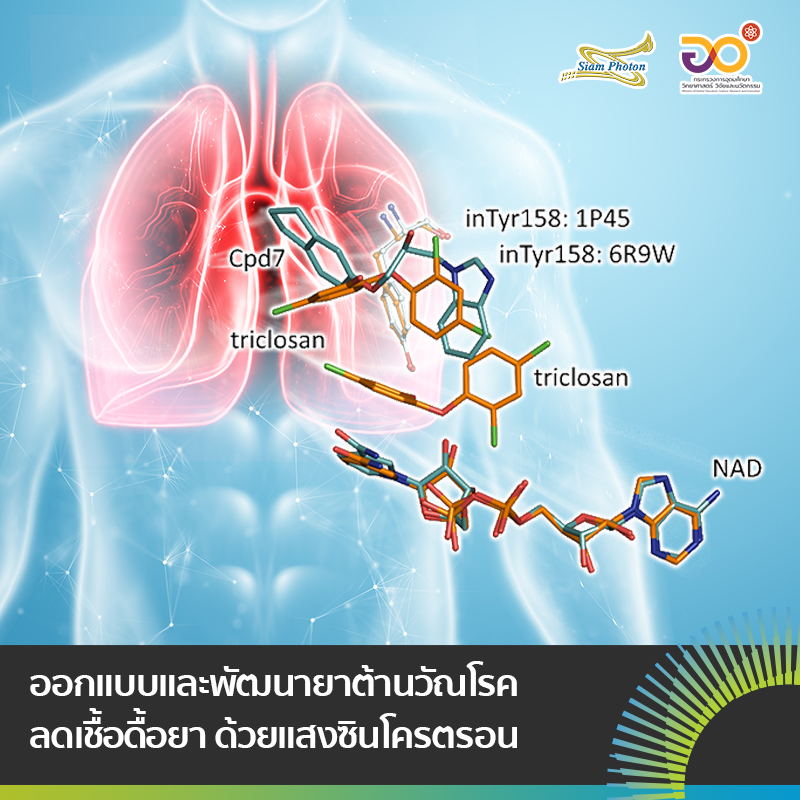 ออกแบบและพฒนายาตานวณโรค ลดเชอดอยา 