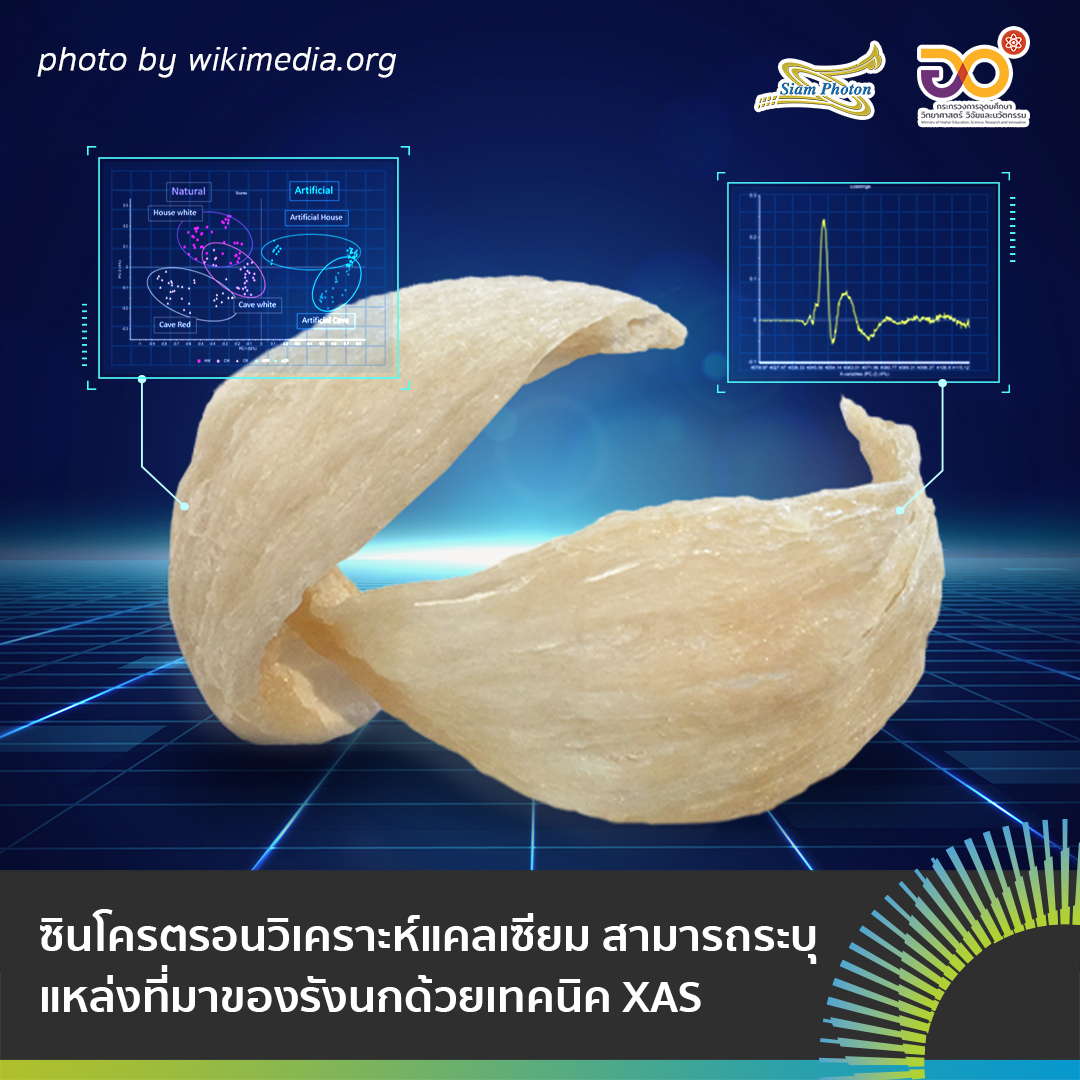 รงนก copy