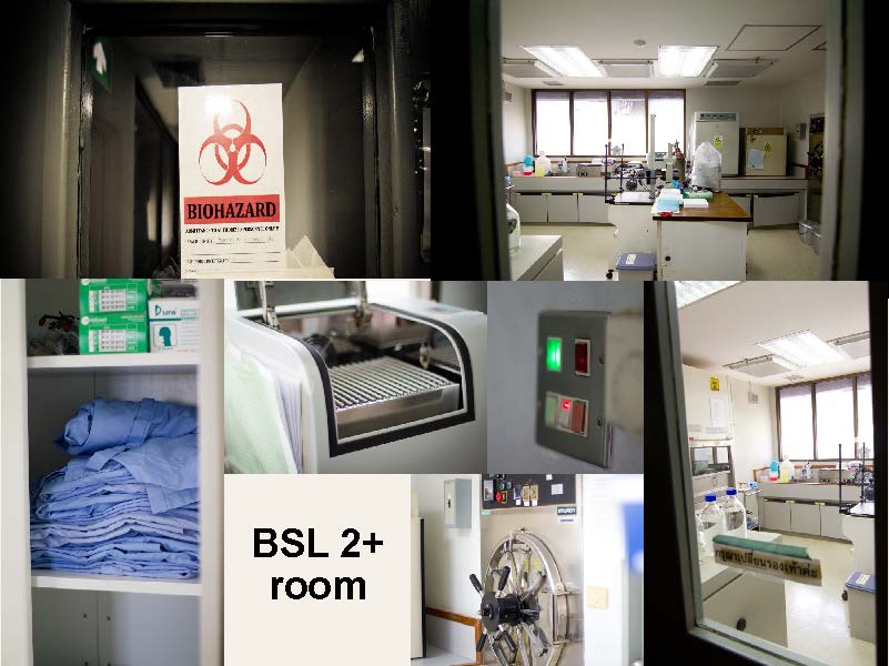 Department of Microbiology and Immunology Page 06