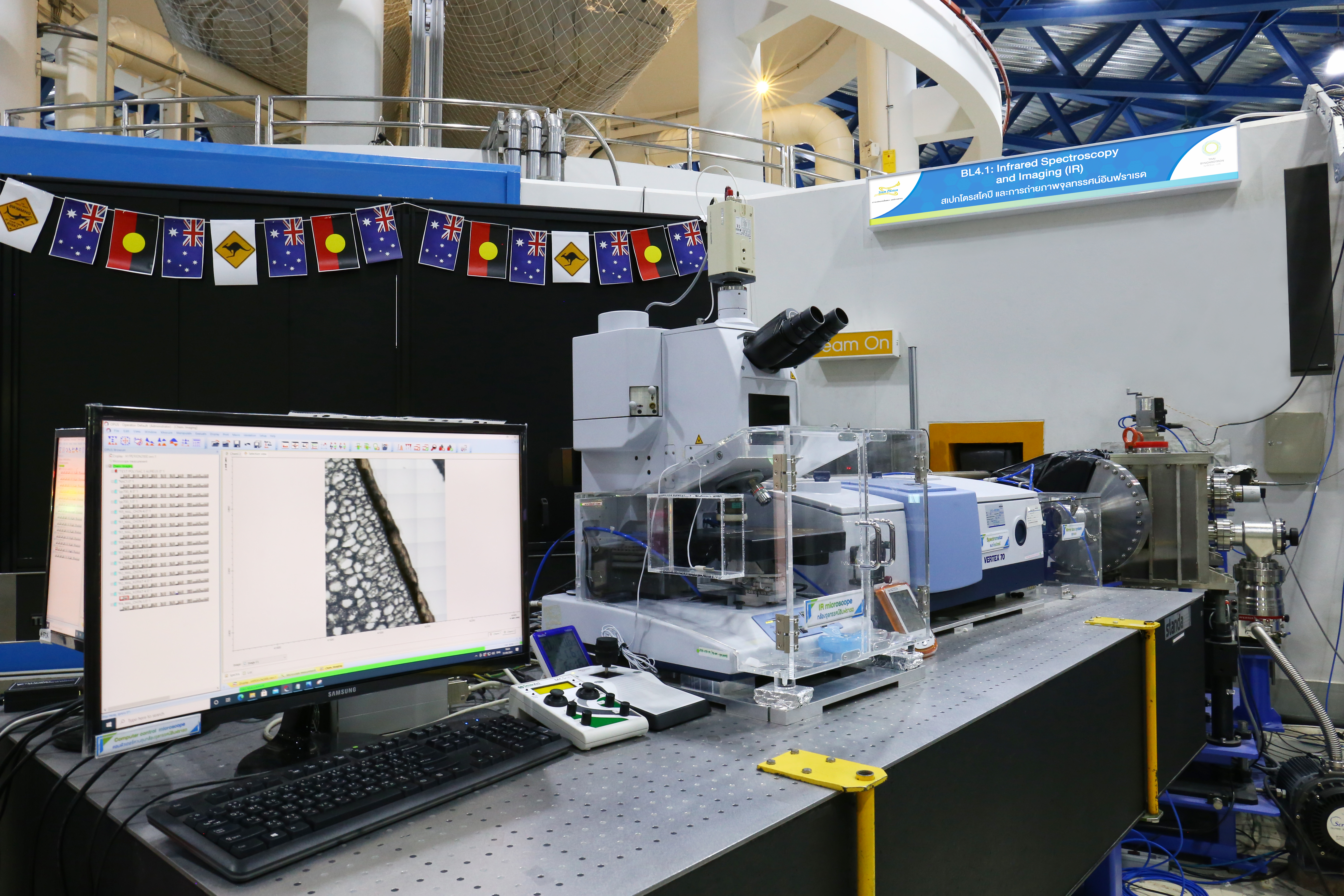 Synchrotron IR Spectroscopy