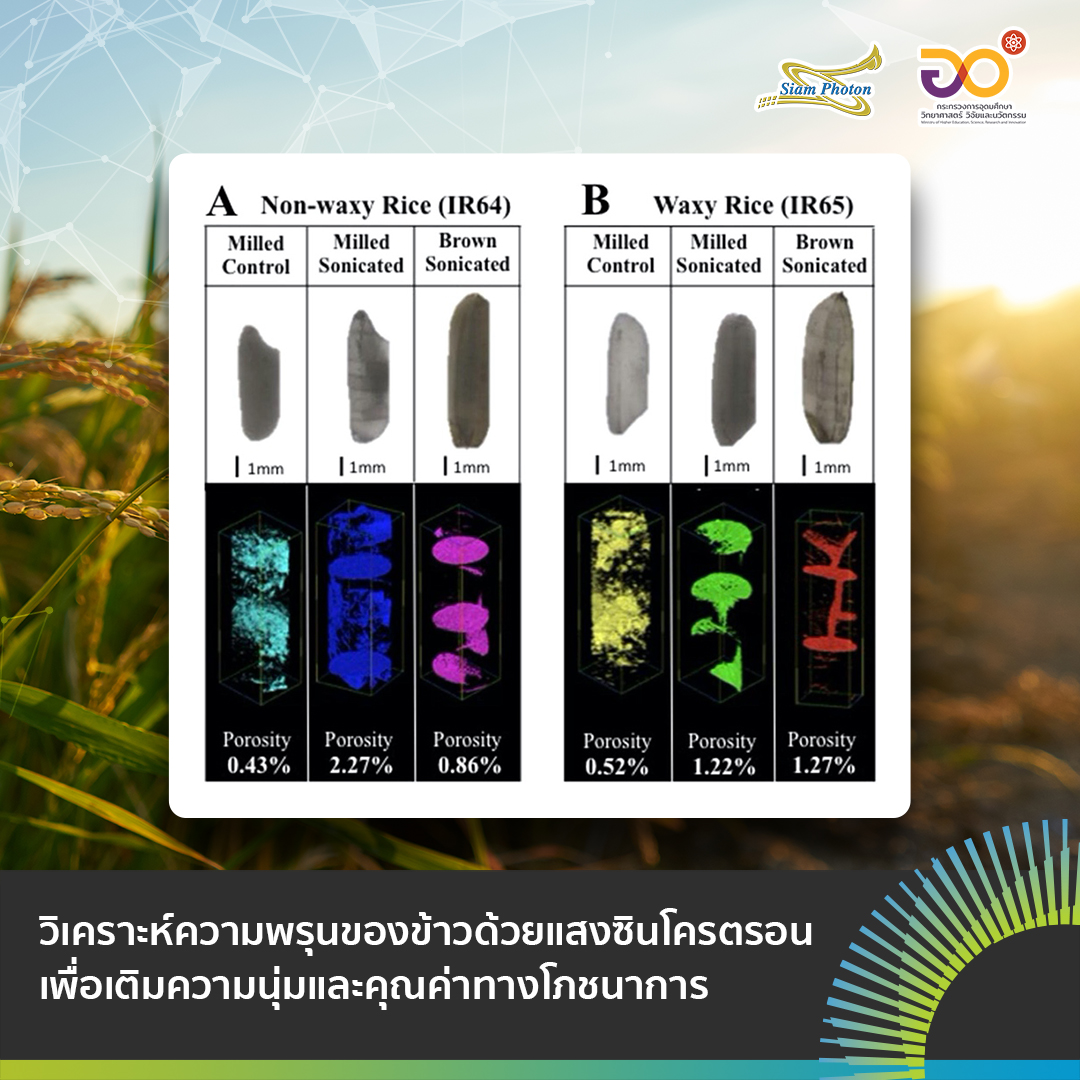 ความนมของขาว