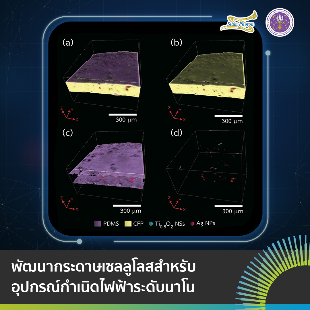 BL1.2 กระดาษเซลลโลสสำหรบอปกรณกำเนดไฟฟ c