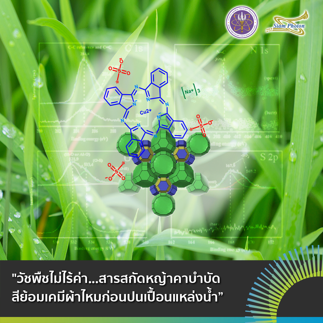 facebook วชพชไมไรคา.สารสกดหญาคาบำบดส