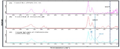 Salmonella 3