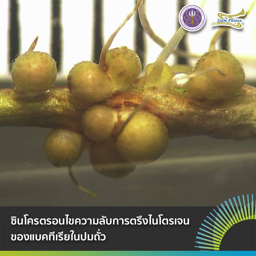 FB ซนโครตรอนไขความลบปมถว