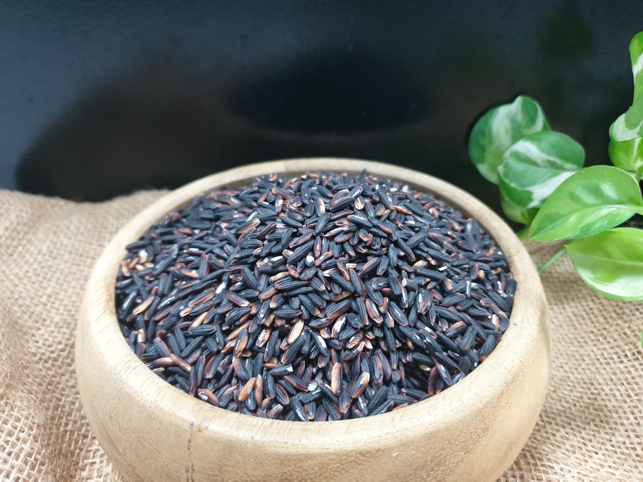 Rice 4