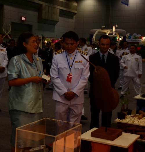 DSC 0940_resize