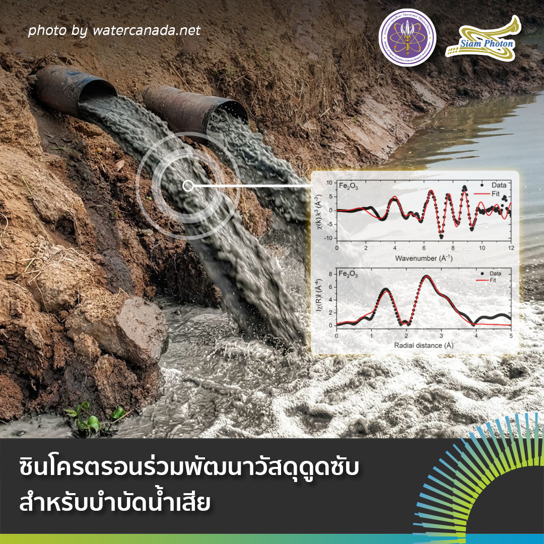 ซนโครตรอนรวมพฒนาวสดดดซบ