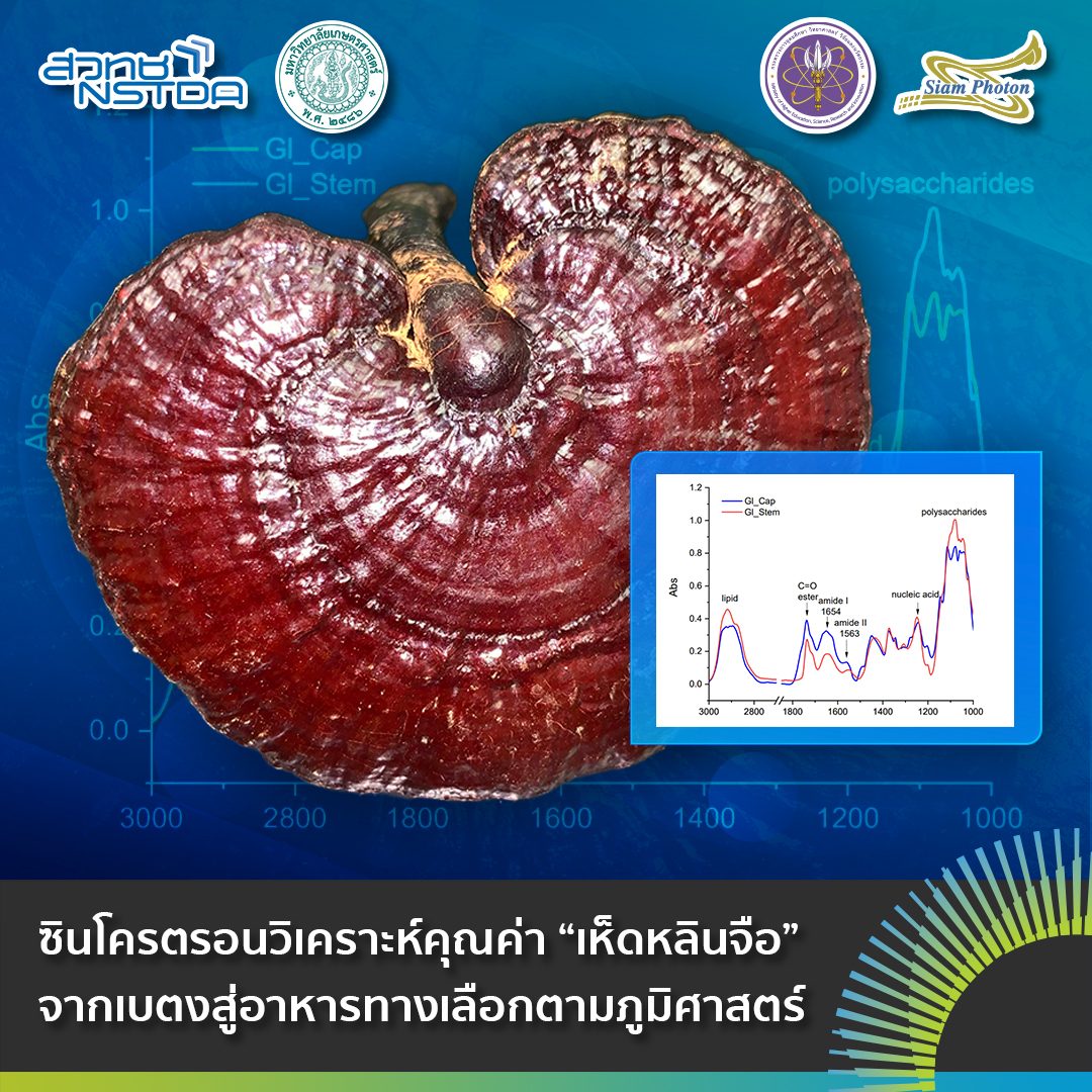 FB เหดหลนจอ
