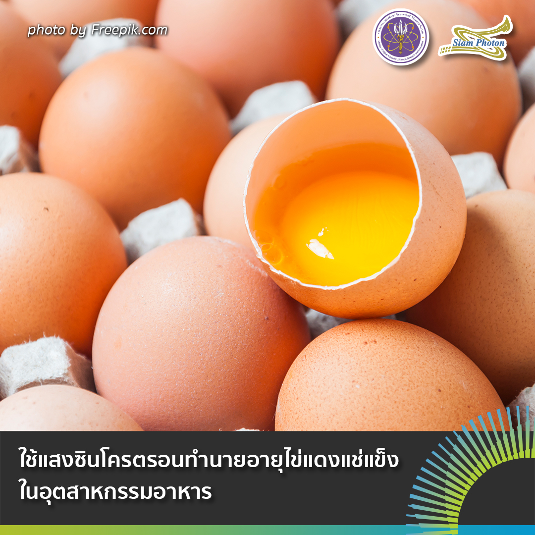 Yolk