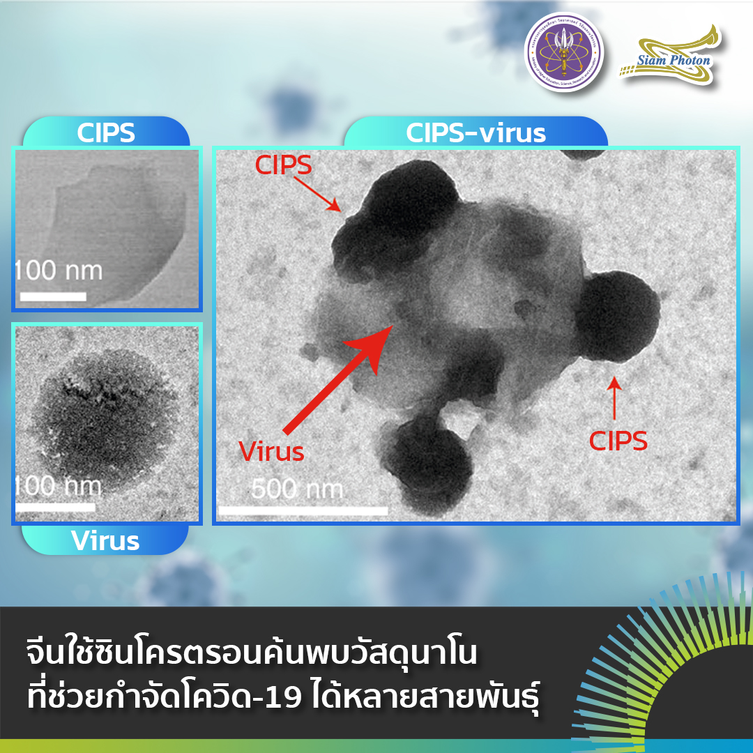 CIPS Virus