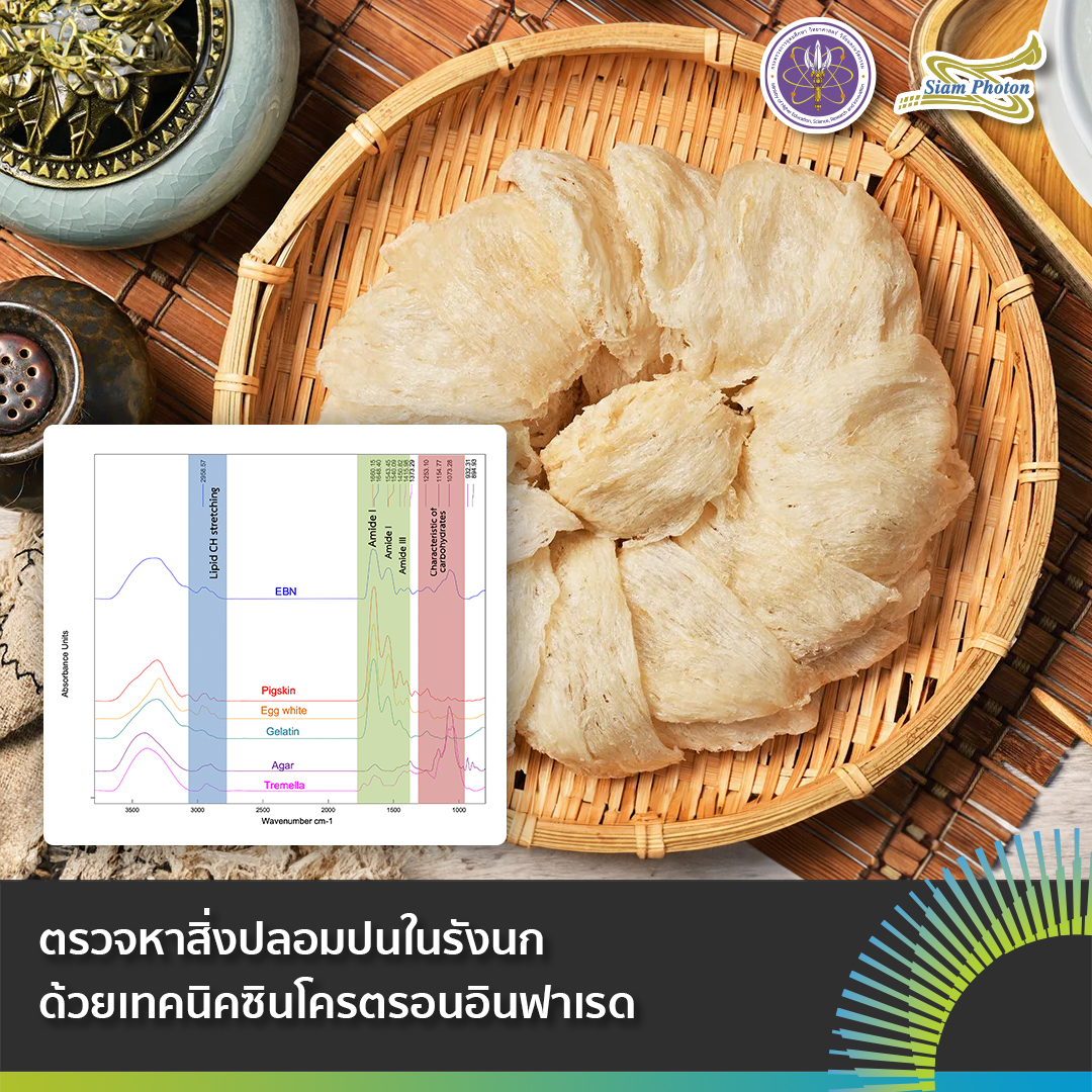 facebook ตรวจหาสงปลอมปนในรงนกดวยเทคนคซน