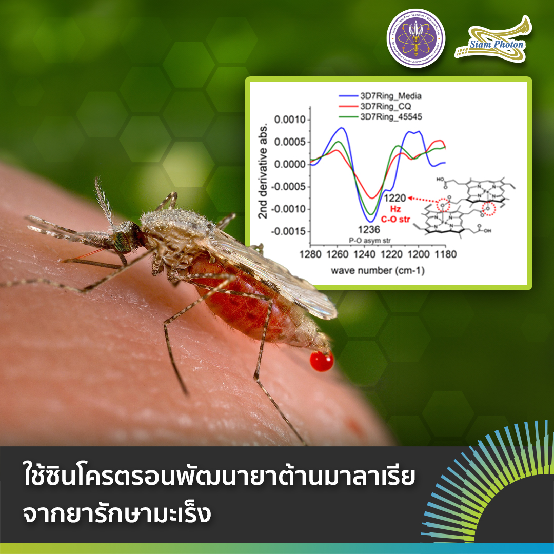 facebook ใชซนโครตรอนพฒนายาตานมาลาเรยจากย