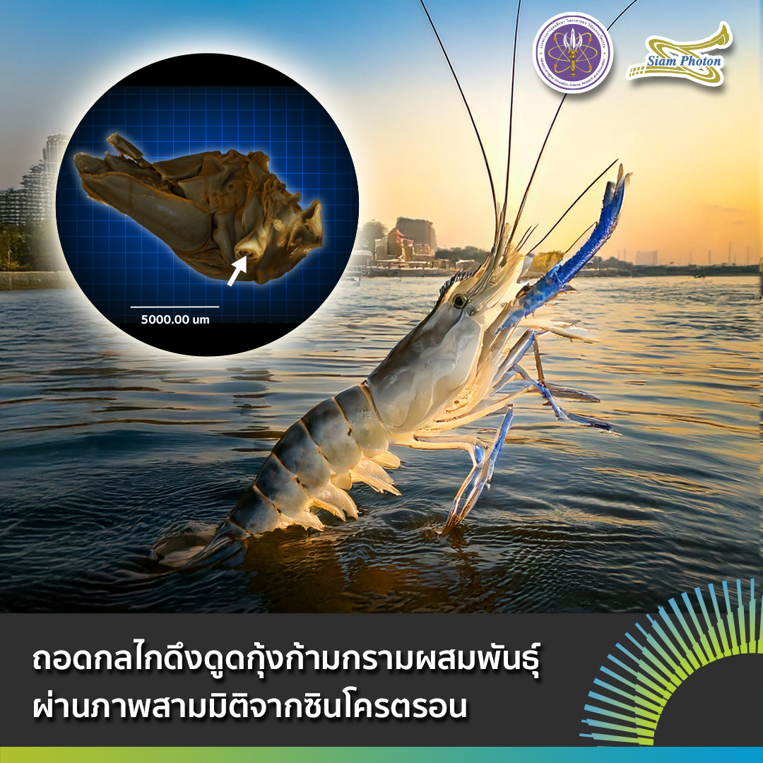 ถอดกลไกดงดดกงกามกราม