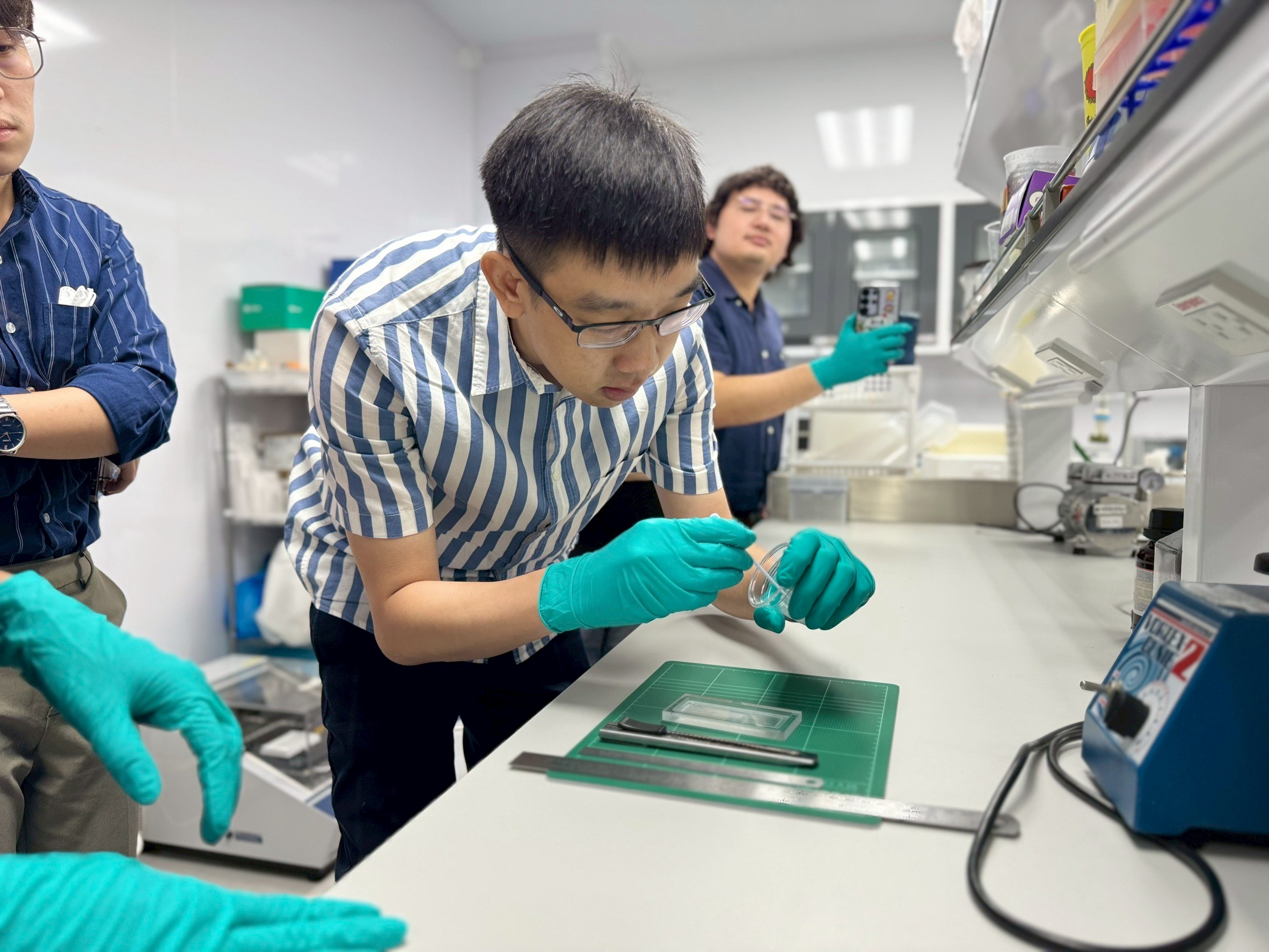 LINE ALBUM organ on a chip 1 เม.ย.68 250410