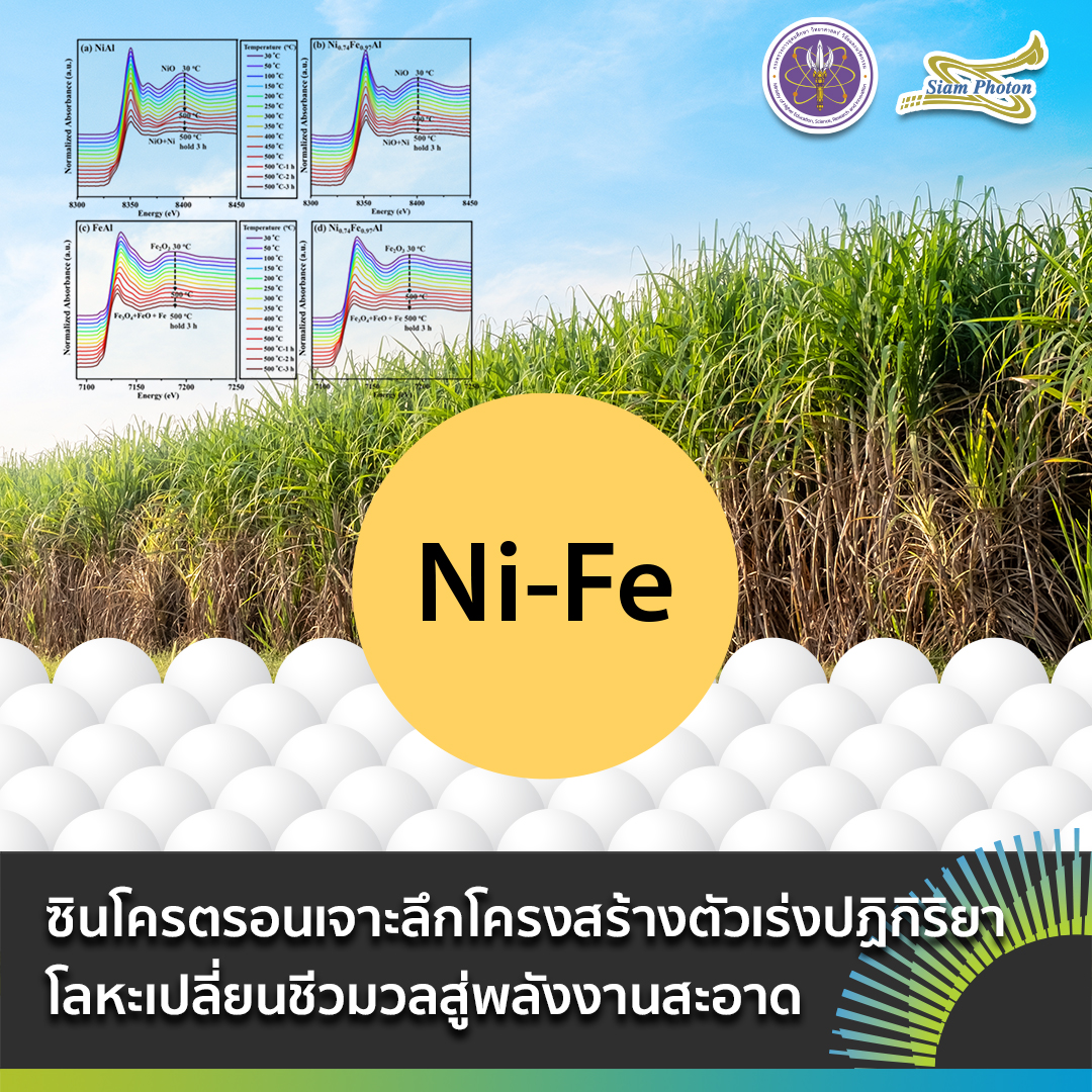 ตวเรงปฏกรยา