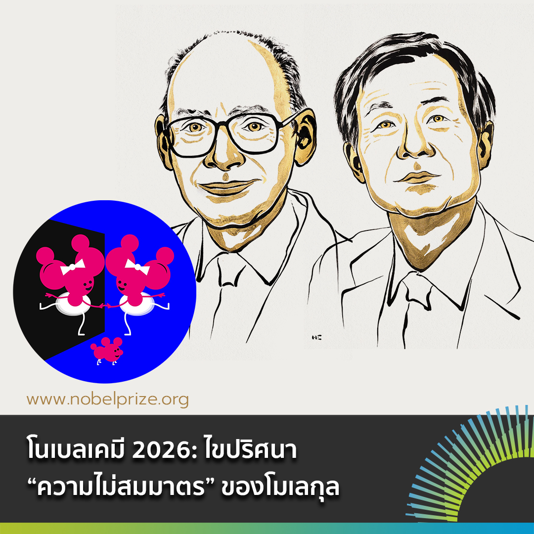 Facebook โนเบลเคม