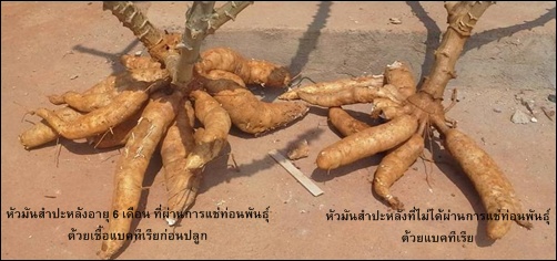 มน2-re